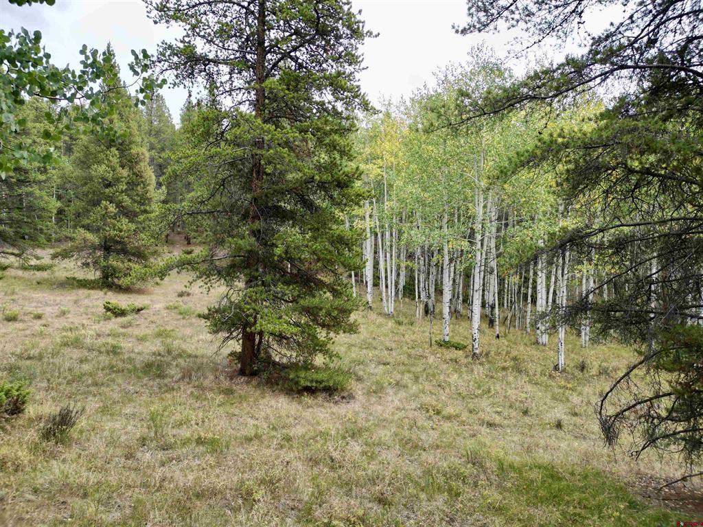 Tbd North Pond Road Property Photo 11