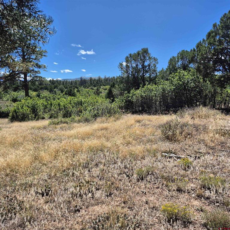 1620 Wildcat Canyon Road Property Photo 1