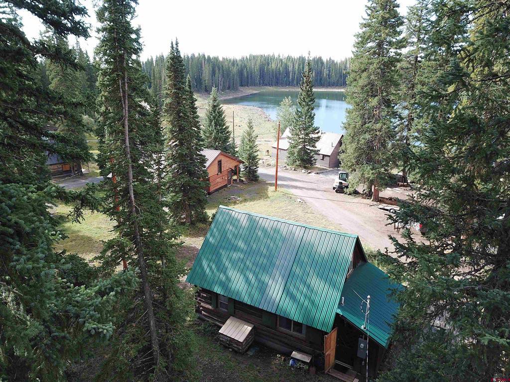 21925 Upper Baron Lake Drive Property Photo 3