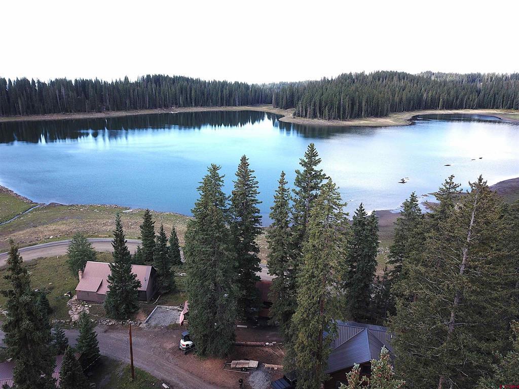 21925 Upper Baron Lake Drive Property Photo 4