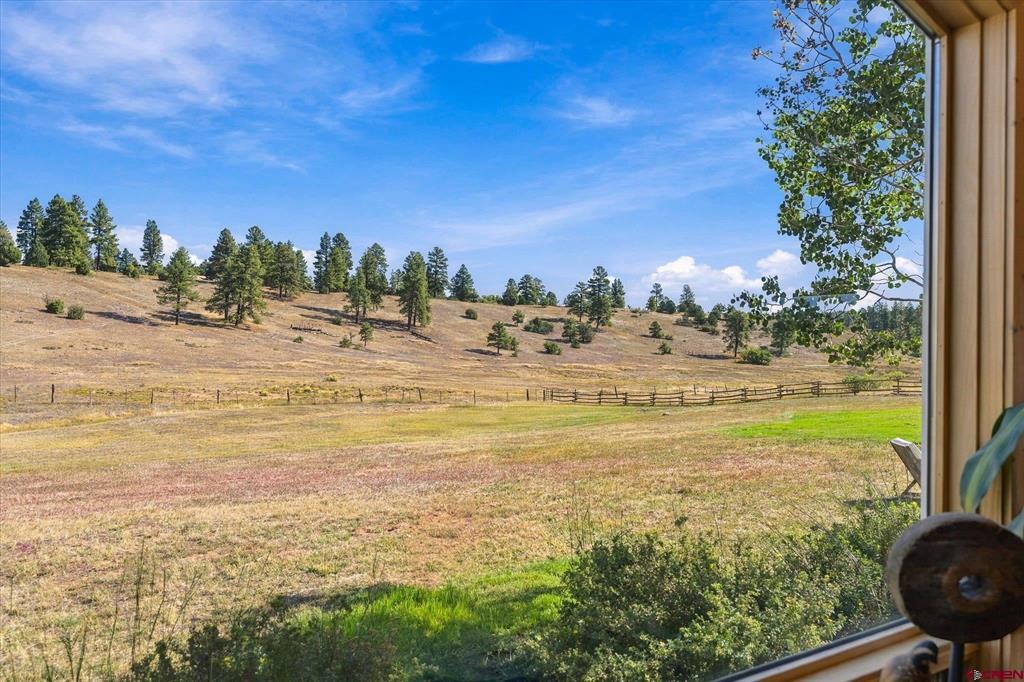 409 Old Snag Circle Property Photo 18