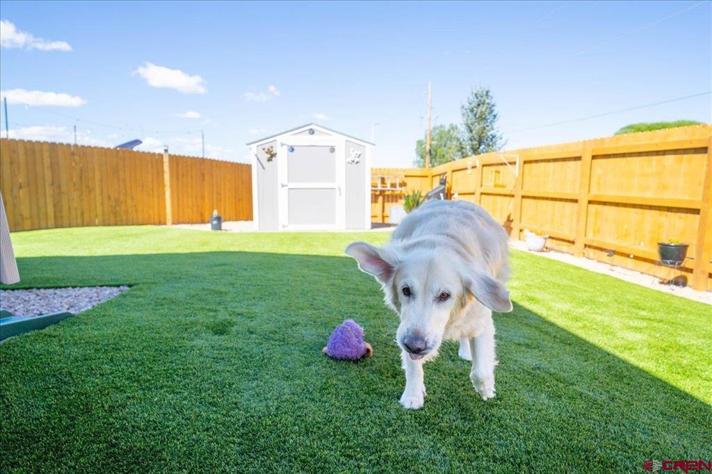 1449 Magpie Gulch Property Photo 16