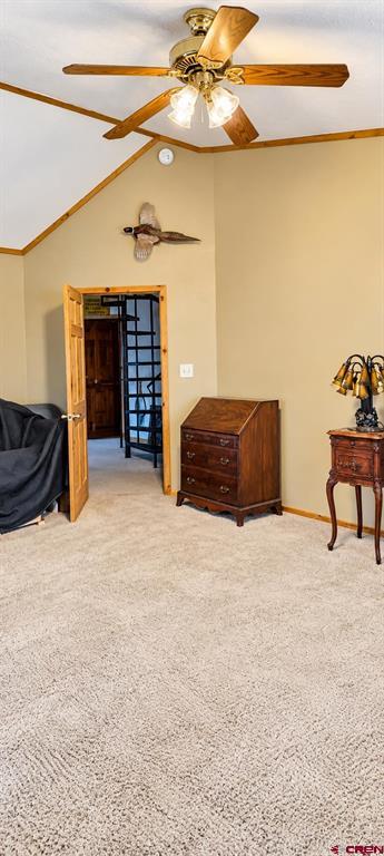 247 Cottonwood Drive Property Photo 37