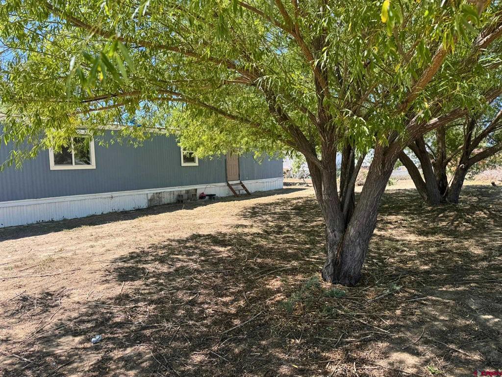 1491 Highway 50 Property Photo 28