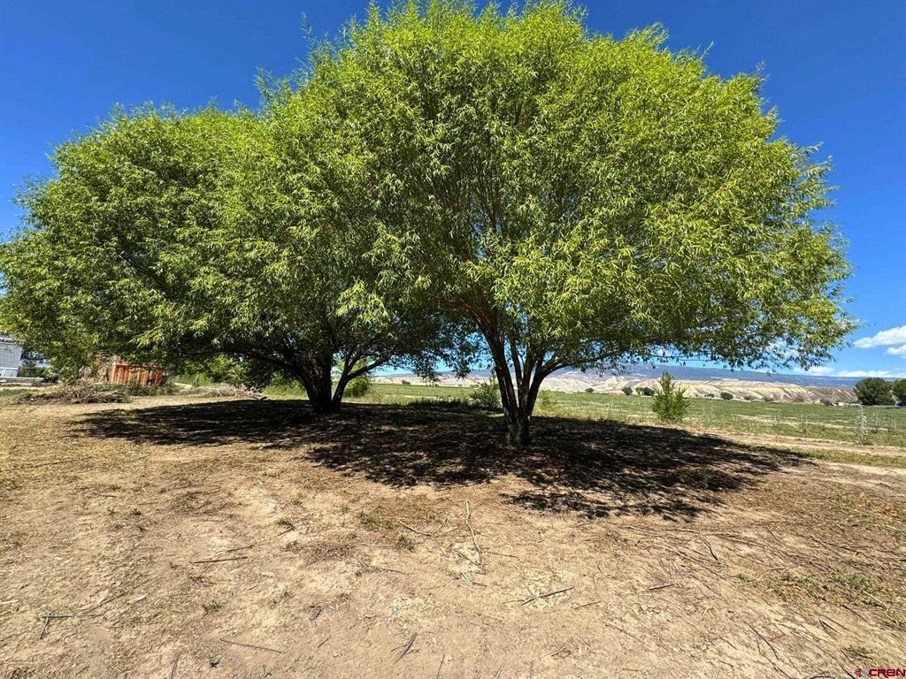 1491 Highway 50 Property Photo 29