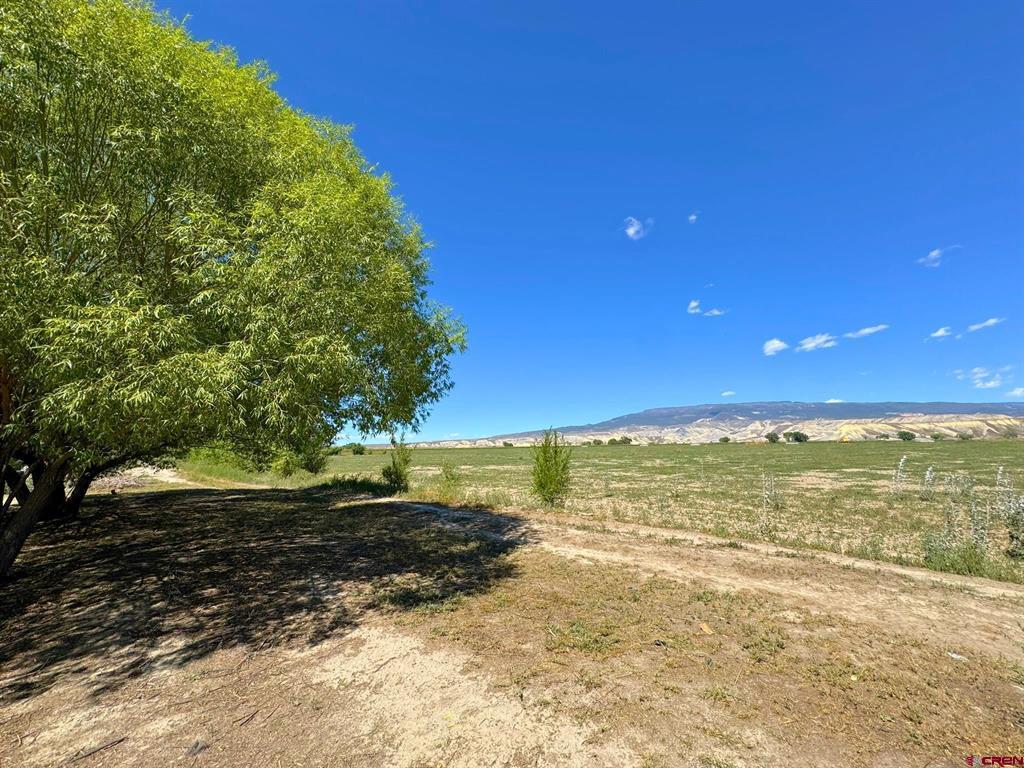 1491 Highway 50 Property Photo 30