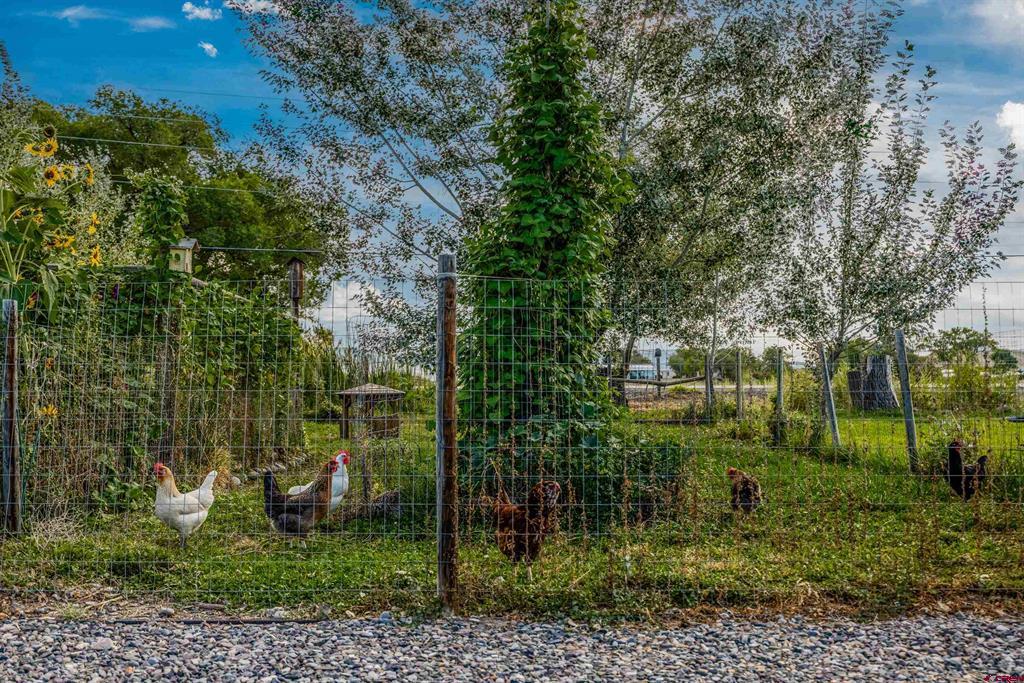 12795 6600 Road Property Photo 26