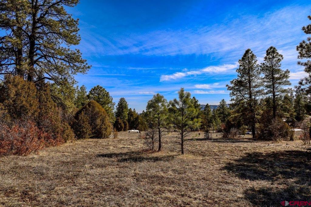829 Buttress Avenue Property Photo 1