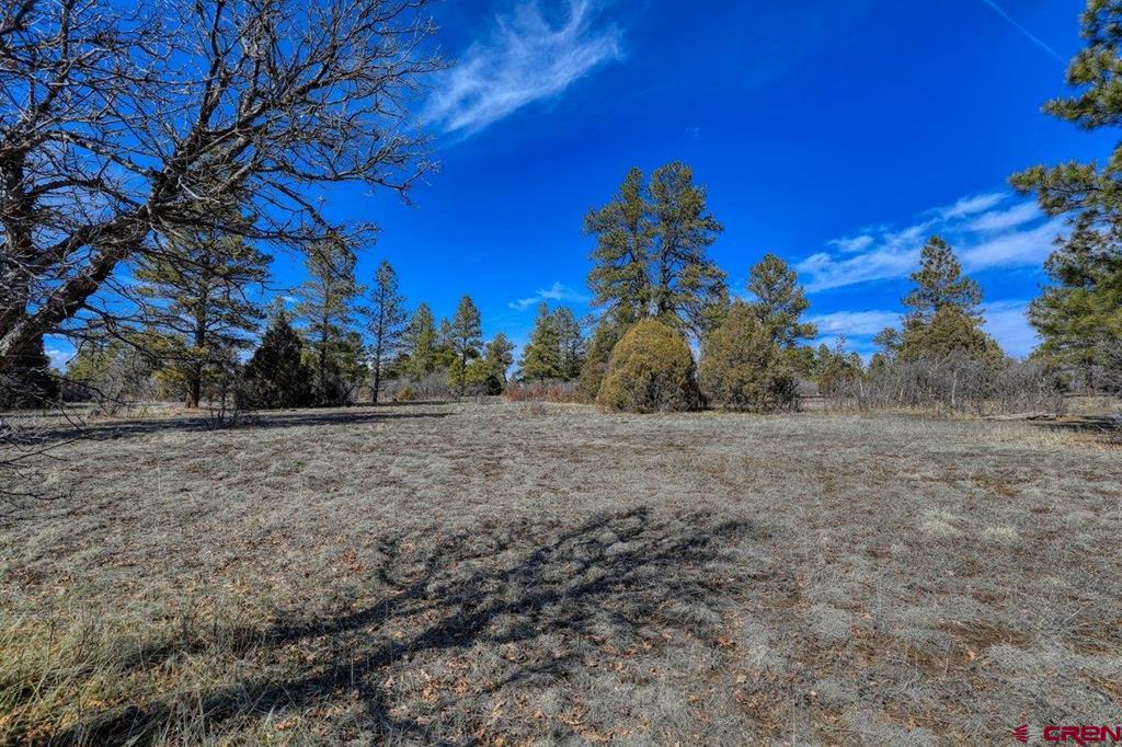 829 Buttress Avenue Property Photo 15