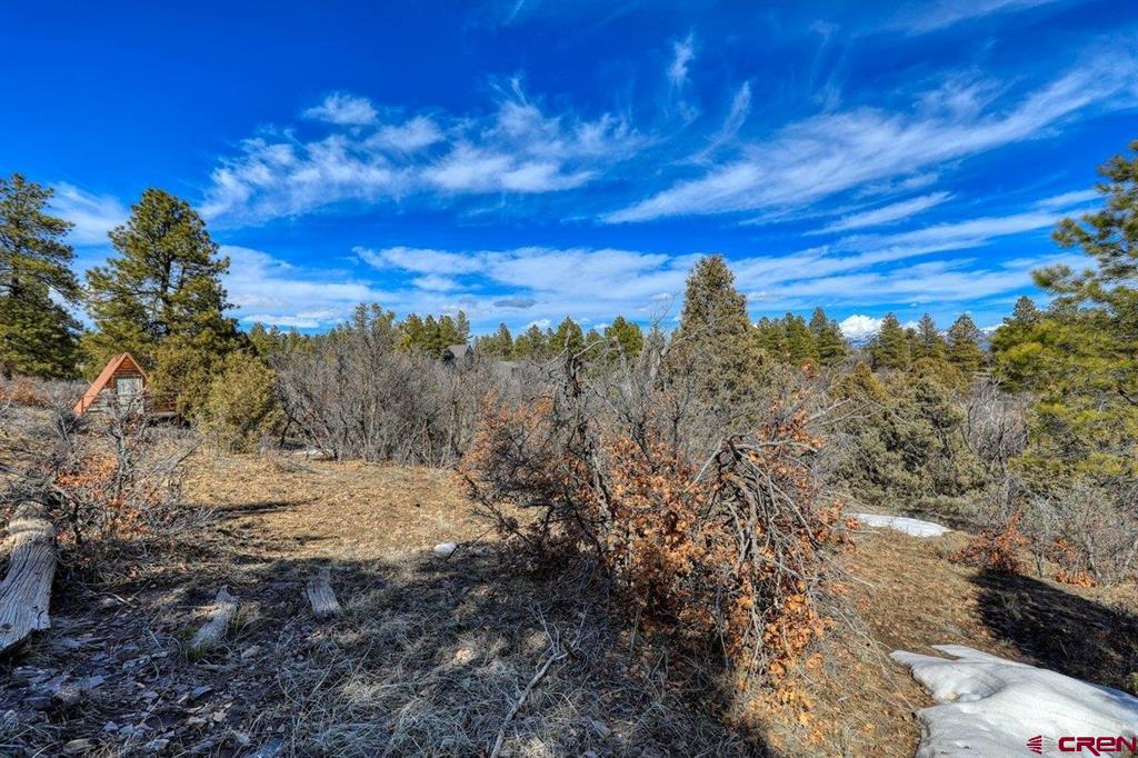 829 Buttress Avenue Property Photo 18