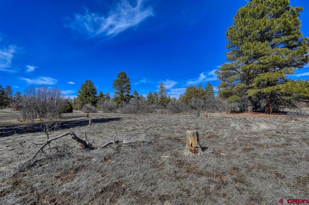 829 Buttress Avenue Property Photo 19
