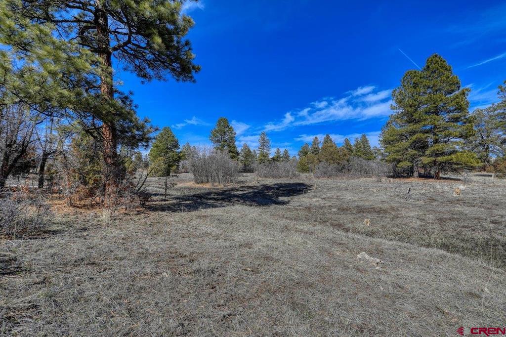 829 Buttress Avenue Property Photo 26