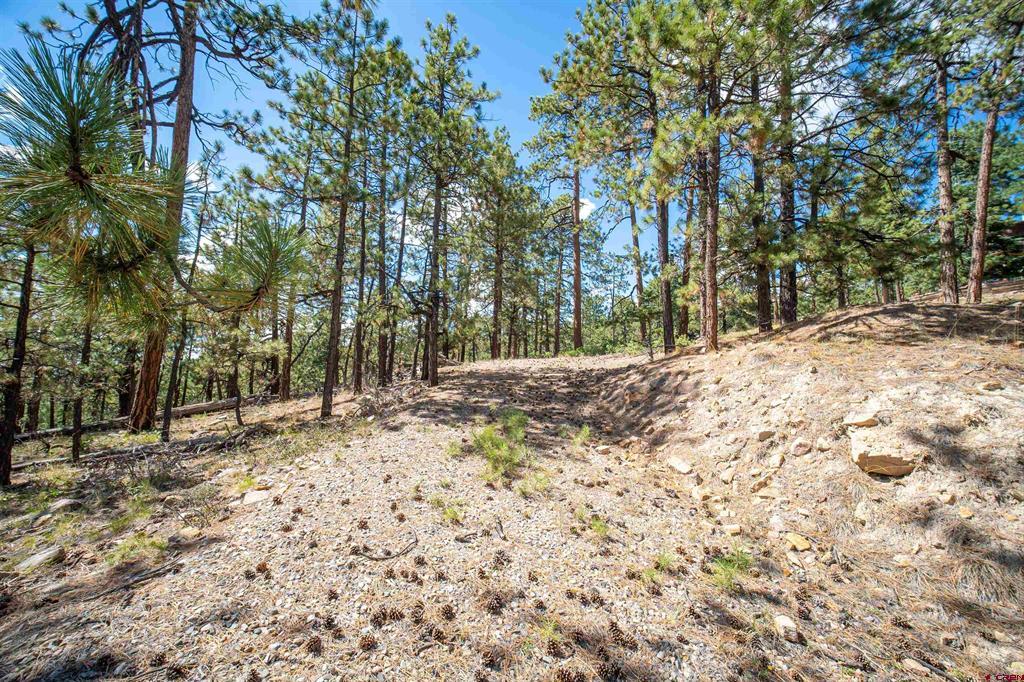 85 Pine Ridge Drive Property Photo 4