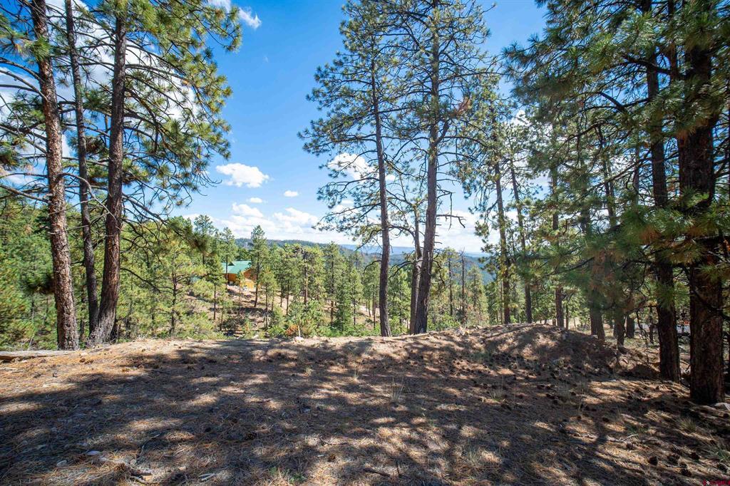 85 Pine Ridge Drive Property Photo 8