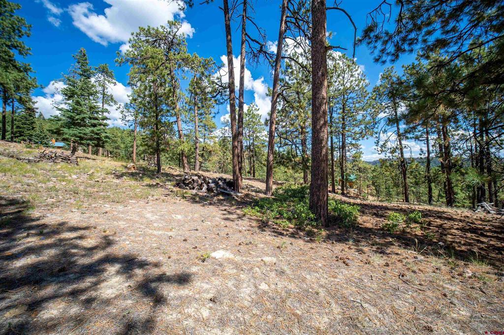85 Pine Ridge Drive Property Photo 9