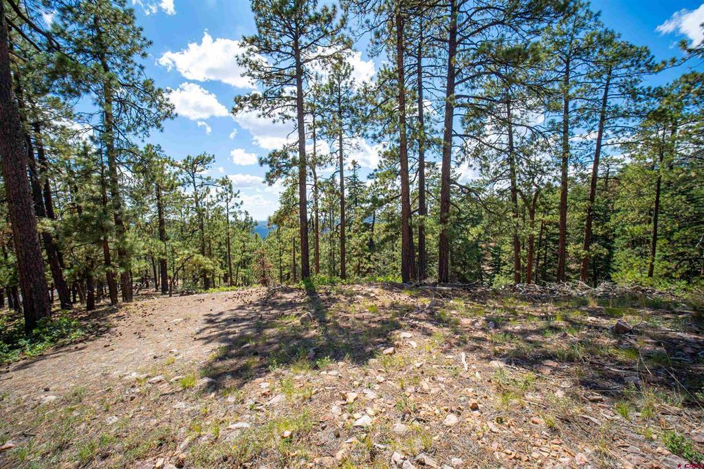 85 Pine Ridge Drive Property Photo 10