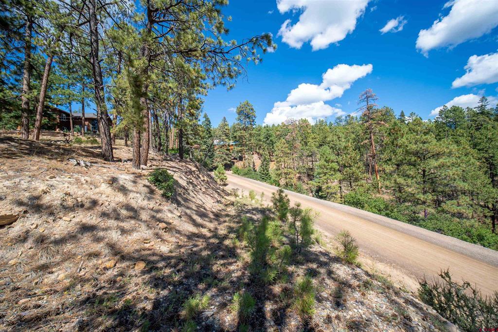85 Pine Ridge Drive Property Photo 11