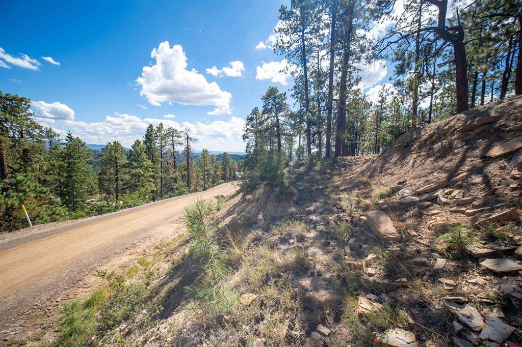 85 Pine Ridge Drive Property Photo 12