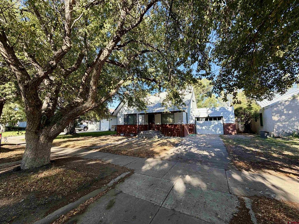 242 Morris Street Property Photo 4