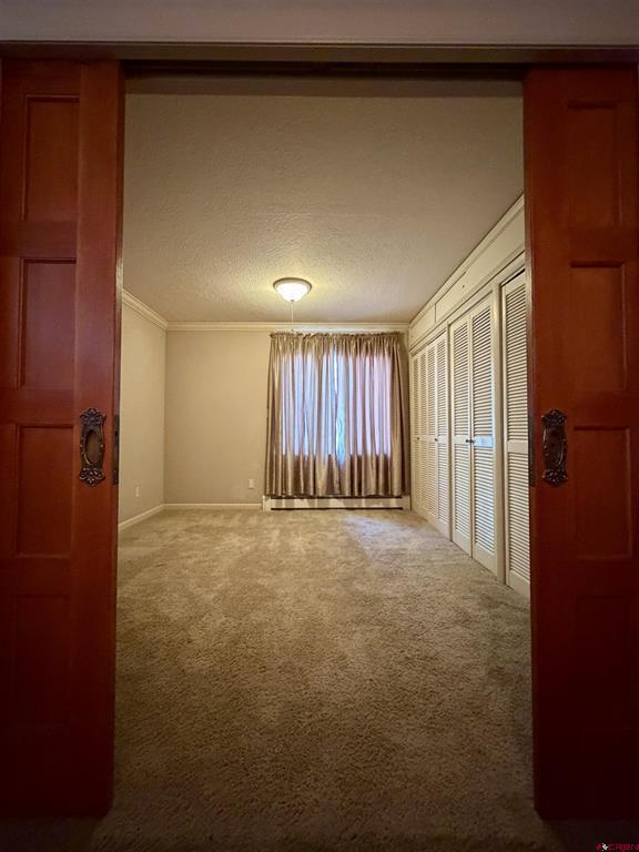 242 Morris Street Property Photo 16