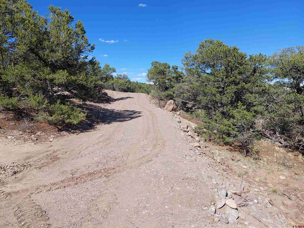 1709 Valley View Rd Property Photo 11