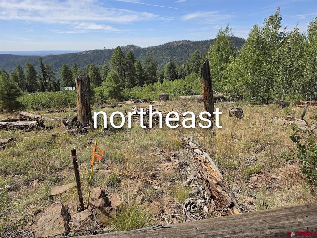 1621 Rosalie Drive Property Photo 2