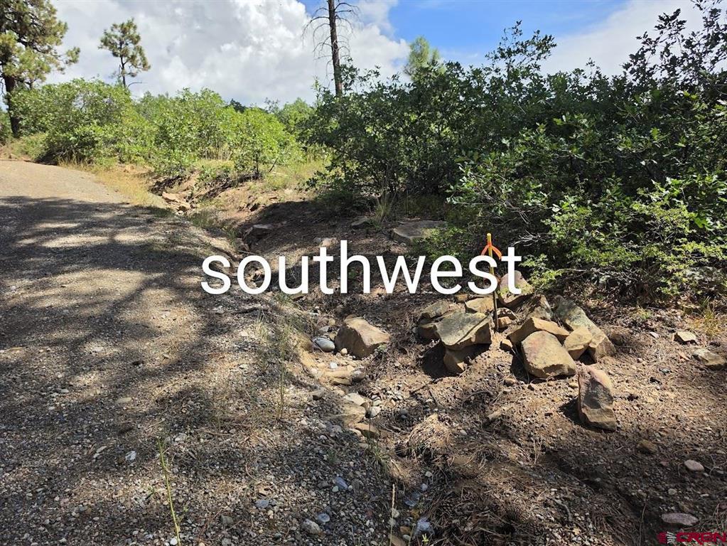 1621 Rosalie Drive Property Photo 3