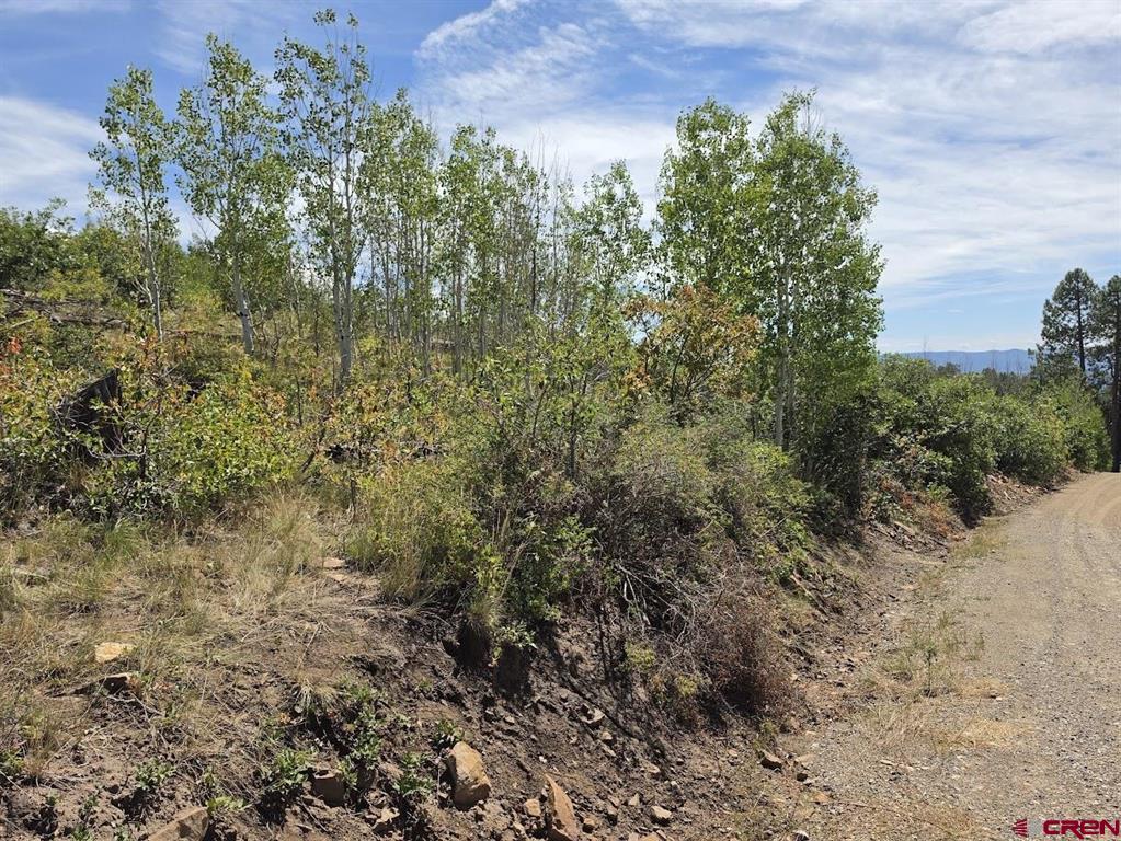 1621 Rosalie Drive Property Photo 6