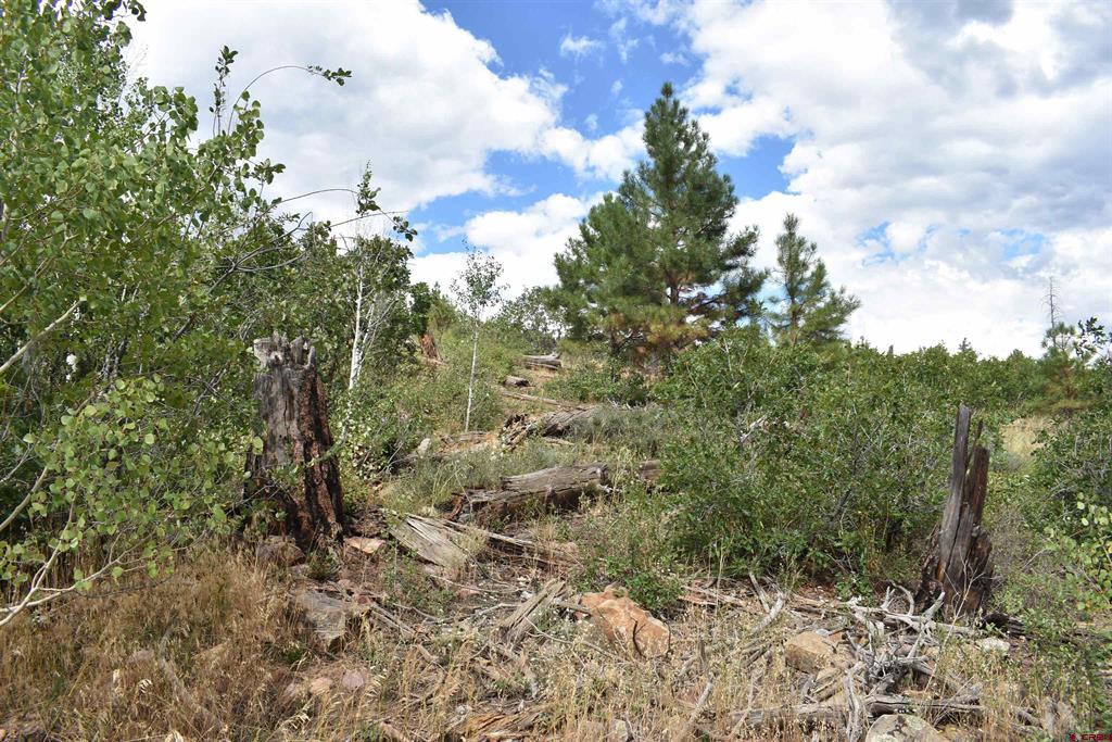 1621 Rosalie Drive Property Photo 13