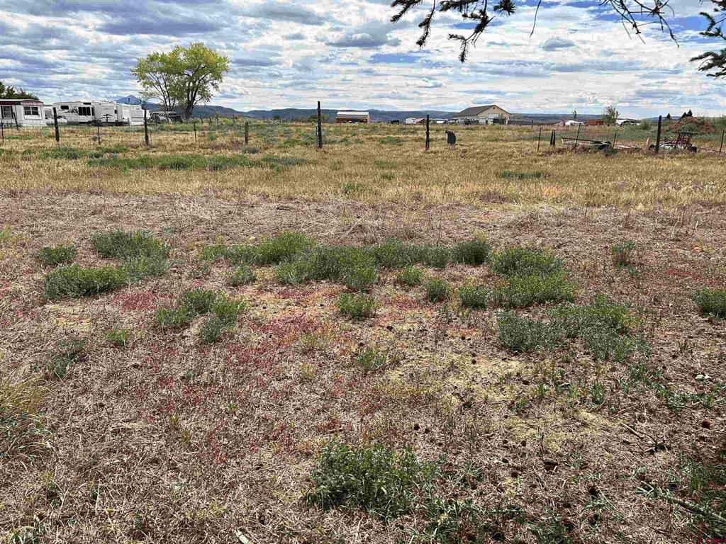 35860 Highway 145 Property Photo 4