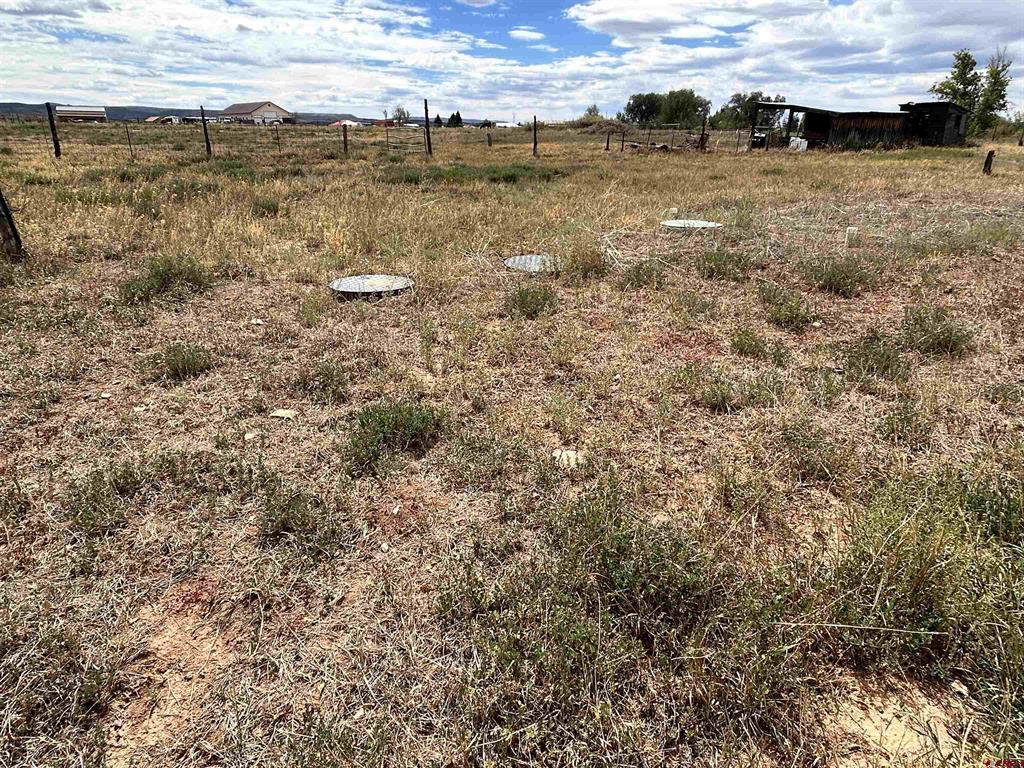 35860 Highway 145 Property Photo 5