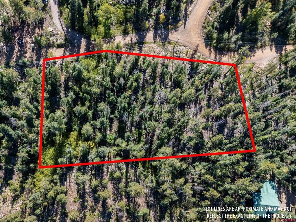 33 Columbine Way Property Photo 13
