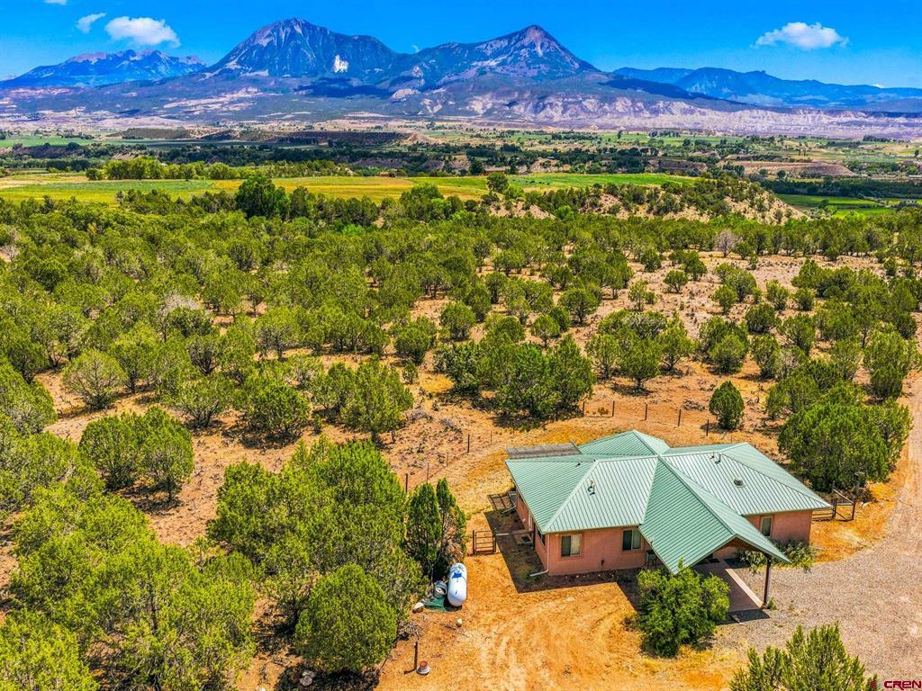 12779 3600 Road Property Photo 1