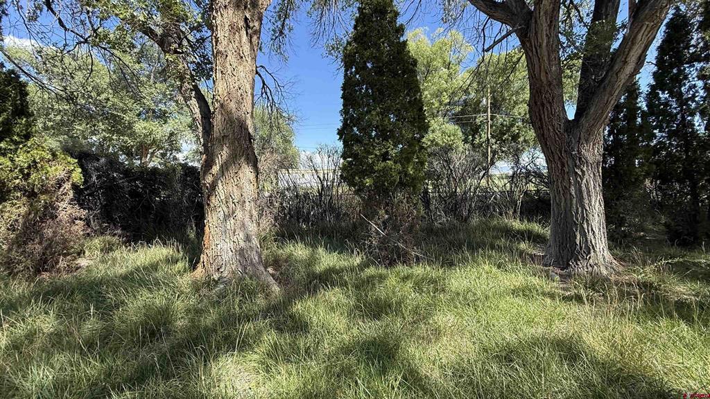 828 1600 Road Property Photo 26