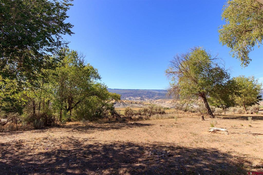 20479 North Road Property Photo 43