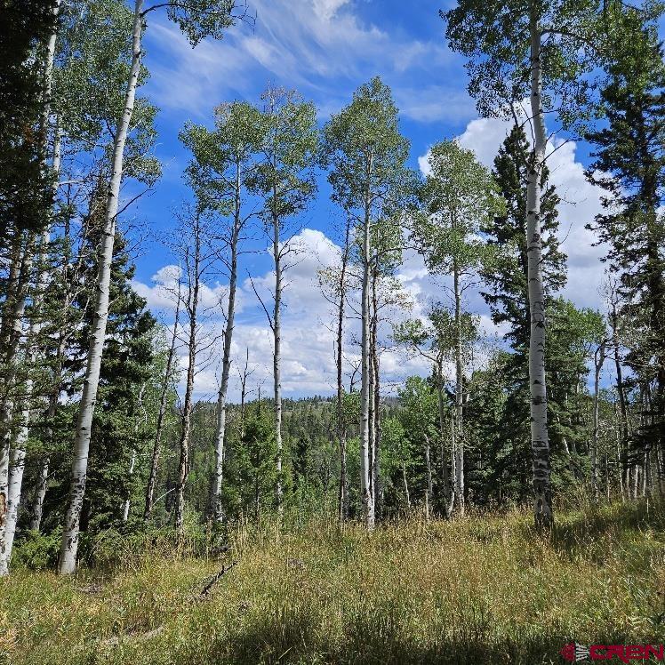 604 Snowshoe Lane Property Photo 1