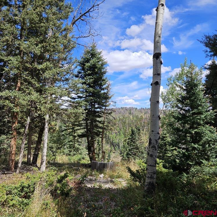 604 Snowshoe Lane Property Photo 3