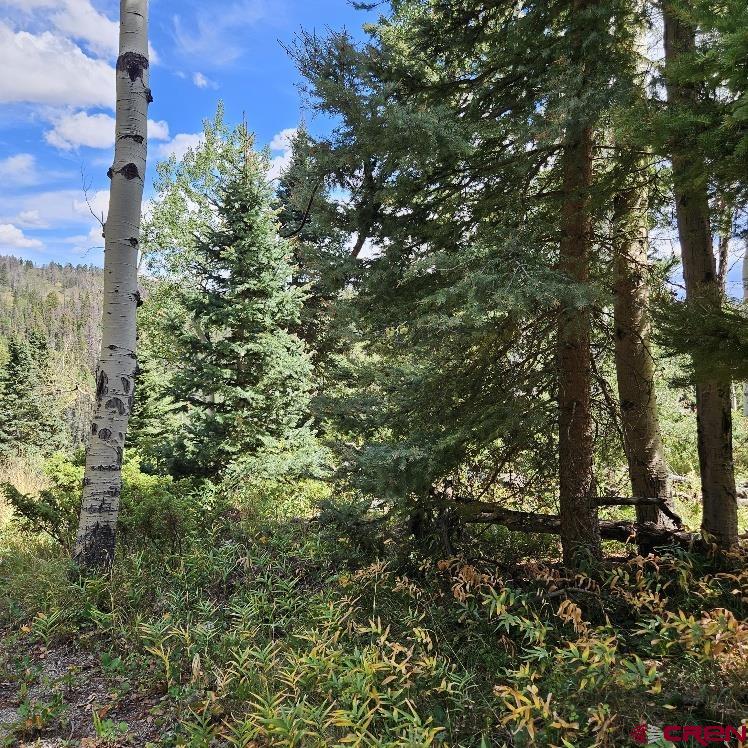 604 Snowshoe Lane Property Photo 4