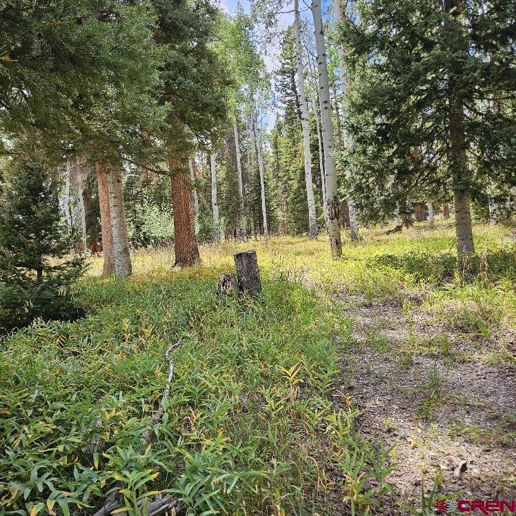 604 Snowshoe Lane Property Photo 6