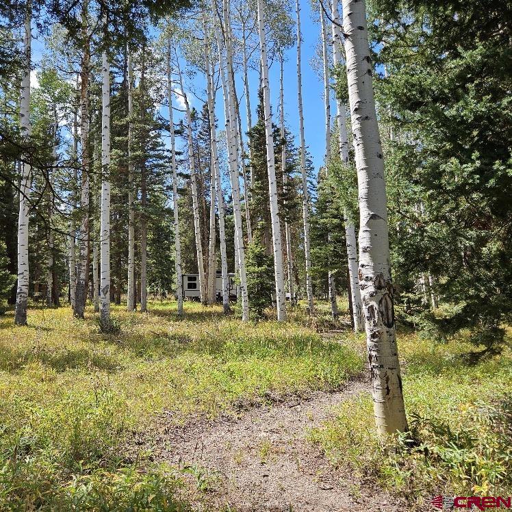 604 Snowshoe Lane Property Photo 7
