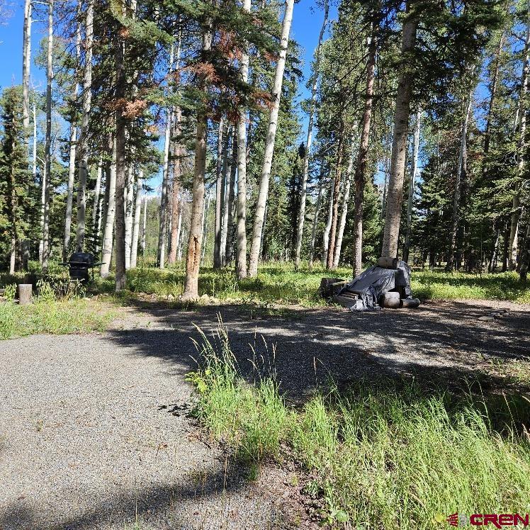 604 Snowshoe Lane Property Photo 11