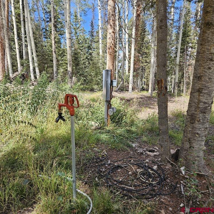 604 Snowshoe Lane Property Photo 13