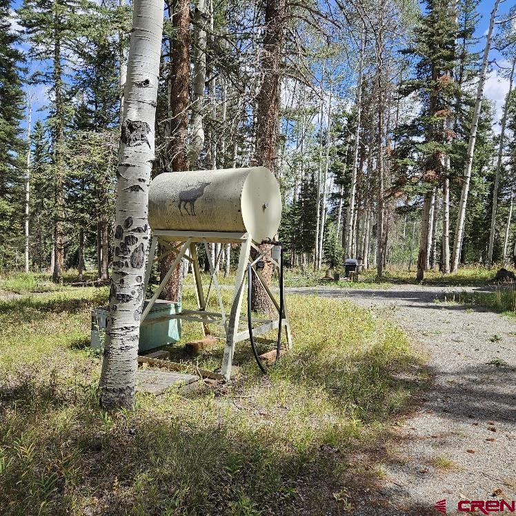 604 Snowshoe Lane Property Photo 18