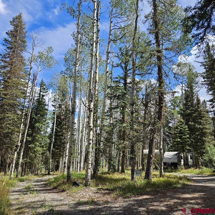 604 Snowshoe Lane Property Photo 23