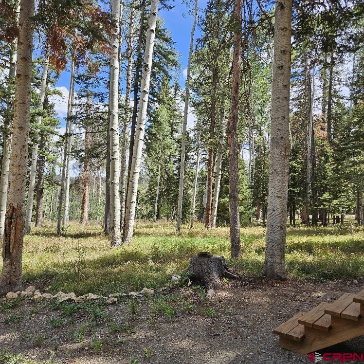 604 Snowshoe Lane Property Photo 24