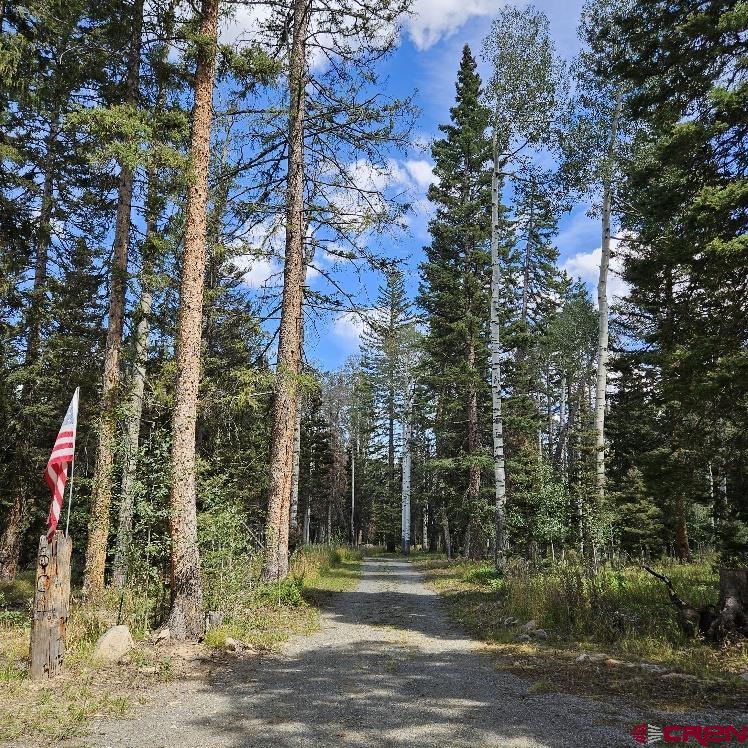 604 Snowshoe Lane Property Photo 27