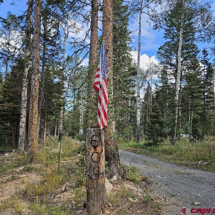 604 Snowshoe Lane Property Photo 28