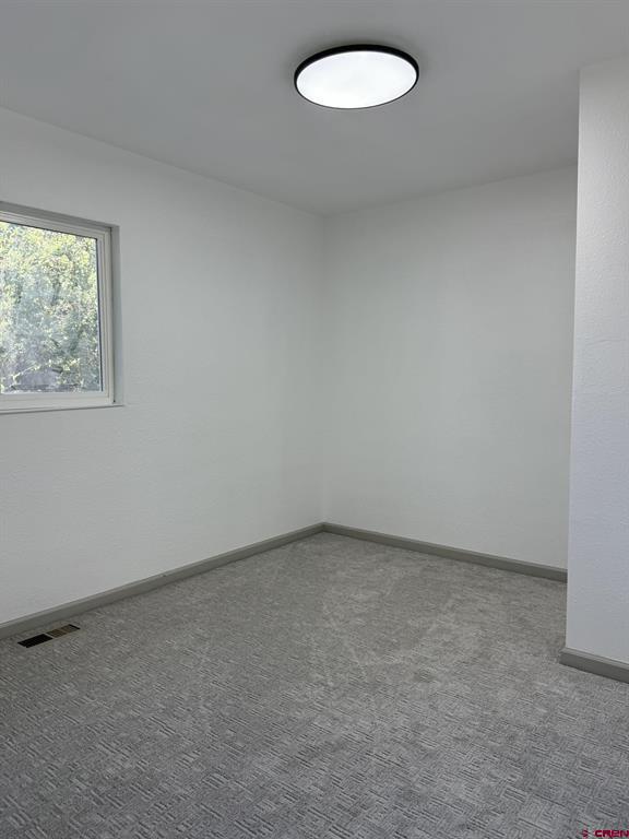 919 Palmer Street Property Photo 24