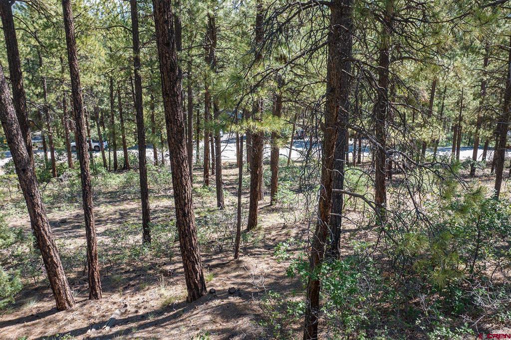 398 Iron King Property Photo 10