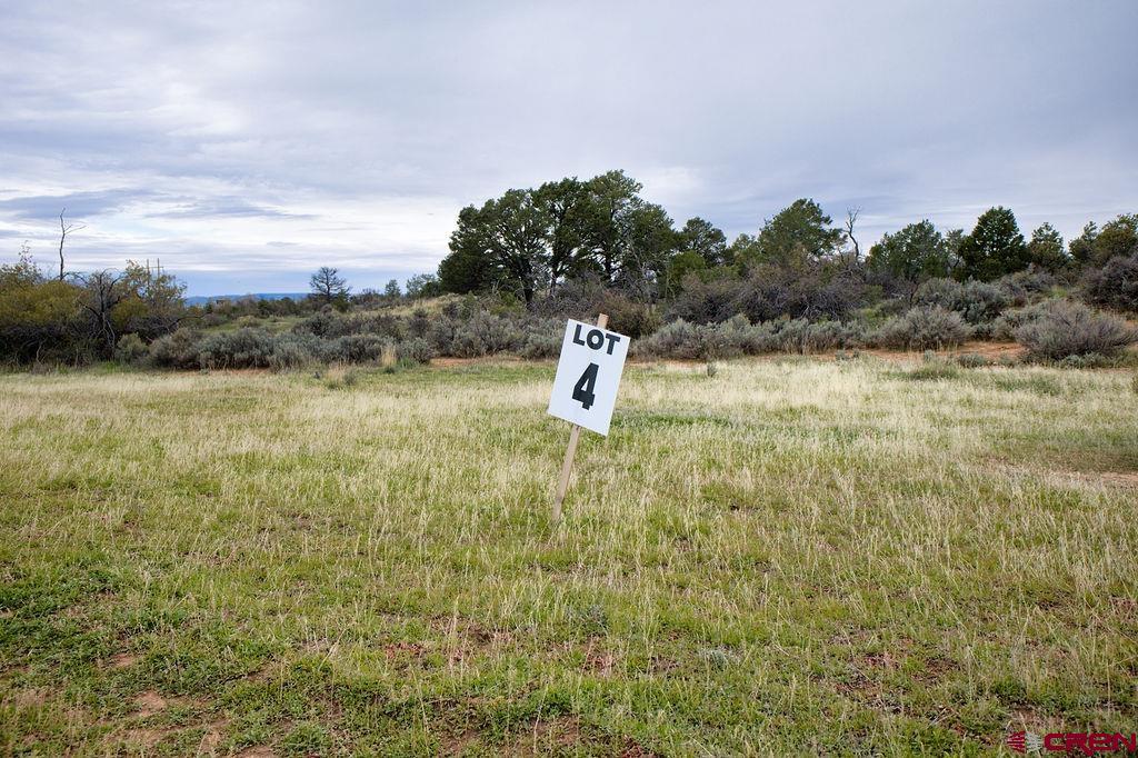 Lot 4 Tbd Road 27.4 Loop Road Property Photo 8